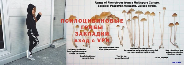 МДПВ Алзамай