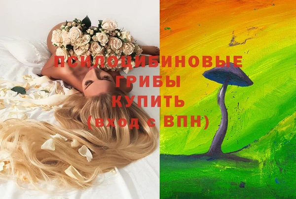 МДПВ Алзамай